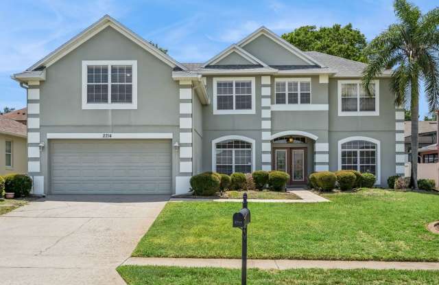 New Rental!