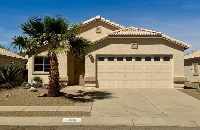 1980 W Cholla Estate Drive