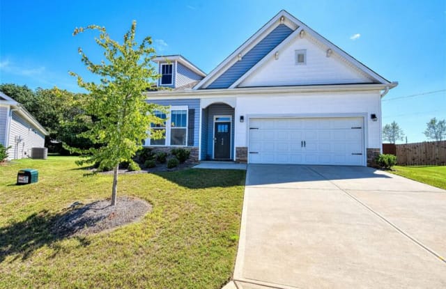 426 Linfield Court - 426 Linfield Ct, Spartanburg County, SC 29334