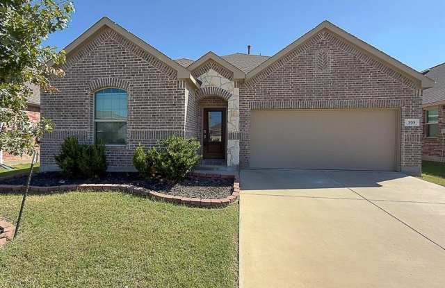 Photo of 309 Hackberry Street