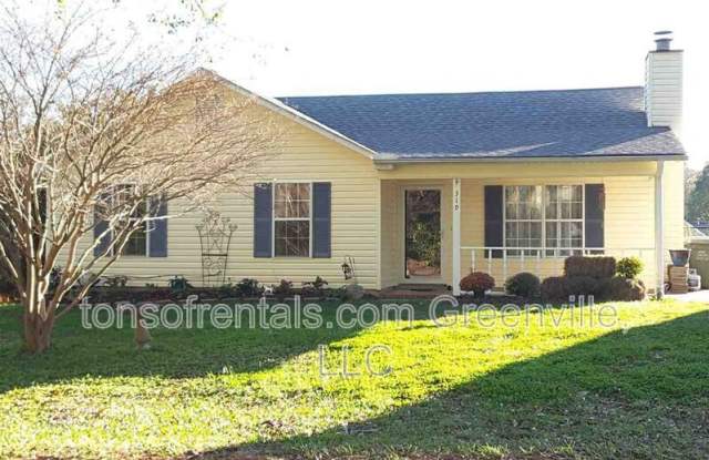 319 Old Petrie Rd - 319 Old Petrie Road, Spartanburg County, SC 29302