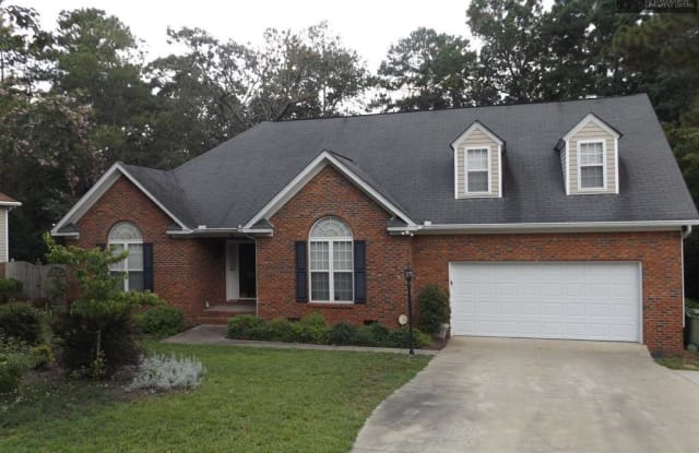 126 Bally Bunion Lane - 126 Bally Bunion Lane, Richland County, SC 29229