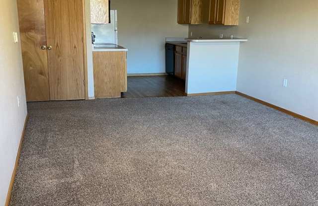 2BD 2Bath Condo Close to CSU
