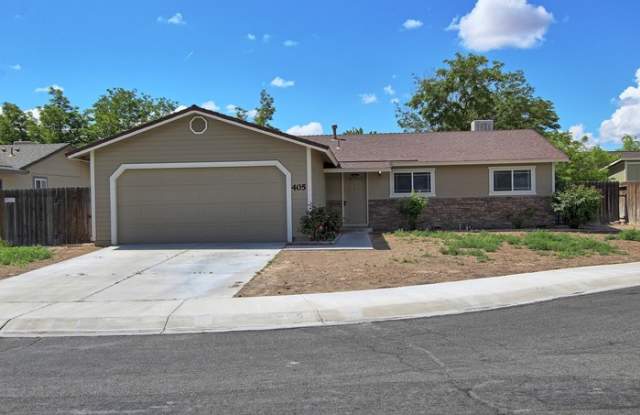 405 Bramble Court - 405 Bramble Court, Fernley, NV 89408