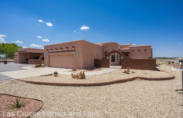 1007 Hoskins Lane - 1007 Hoskins Ln, Doña Ana County, NM 88007