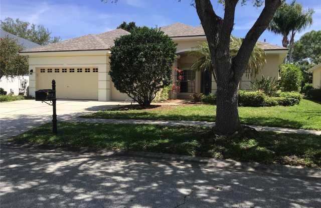 10409 SNOWDEN PLACE - 10409 Snowden Place, Westchase, FL 33626