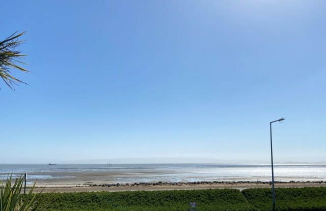 Photo of Beachcomber