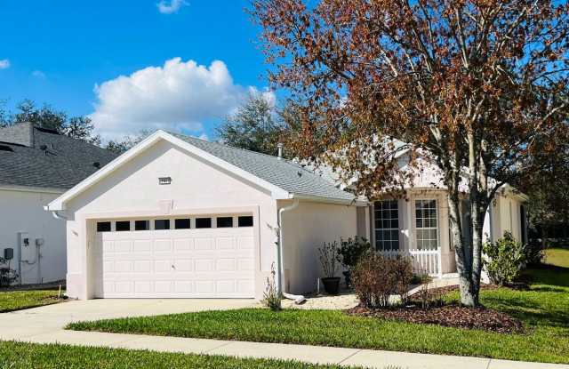 Peaceful 3 bedroom, 2 bathroom home with a relaxing water view. 55+ community. - 27021 Nature View Street, Leesburg, FL 34748