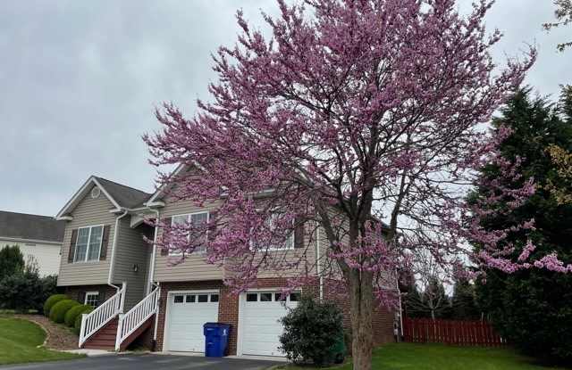 60 Alexander Ct Nw
