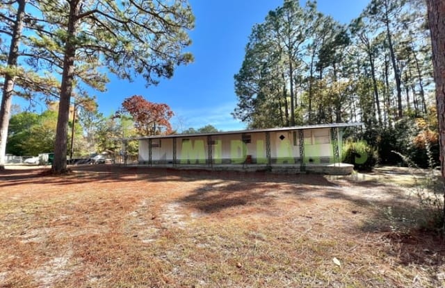 109 Holly Tree Street - 109 Holly Tree Street, Lexington County, SC 29073