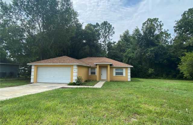 523 SILVER WAY Drive