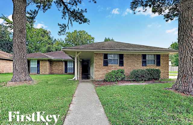 29002 Raestone Street - 29002 Raestone Street, Montgomery County, TX 77386