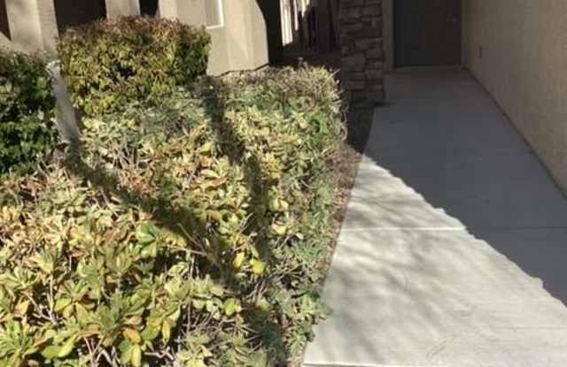 218 Wicked Wedge Way