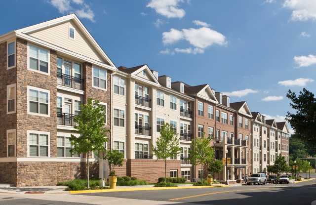 Windsor Leesburg Parent