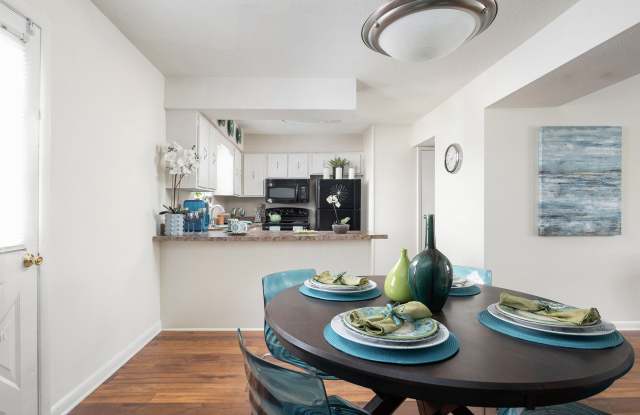 Photo of Trails of Signal Mountain