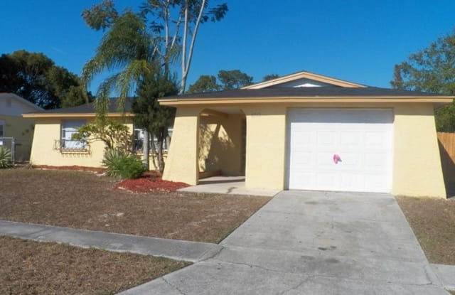 6041 9th Avenue - 6041 9th Avenue, Elfers, FL 34653