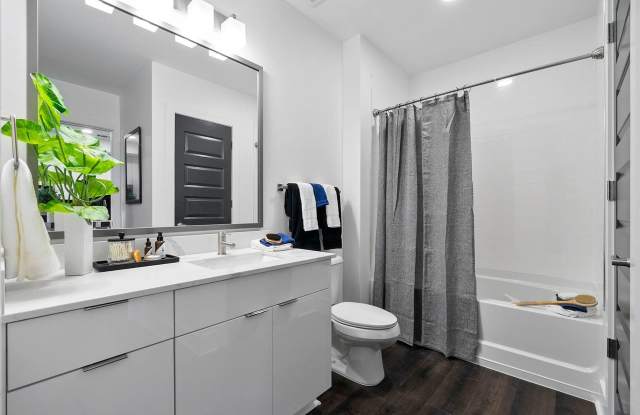 Photo of Arya Peachtree