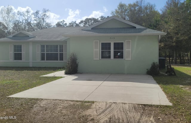 7115 Alberta Street - 7115 Alberta Street, Spring Hill, FL 34604