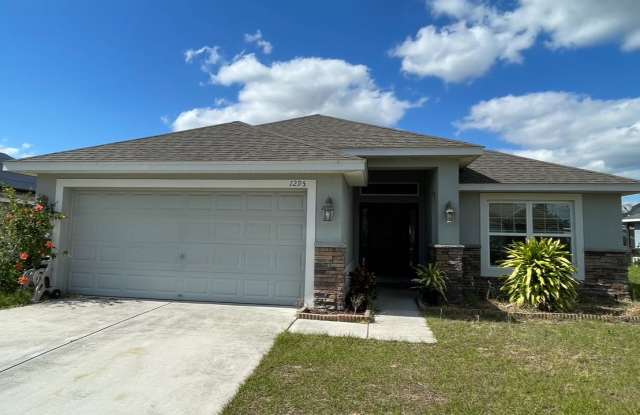 1295 Legatto Loop, Dundee, Florida 33838