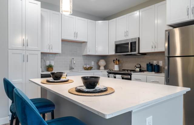 Photo of Aster at the Summit