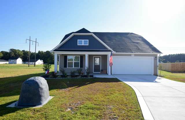 3 Bedroom 2.5 Bathroom- Built in 2024!