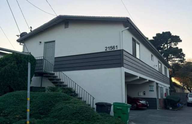 Introducing A Newly Renovated Apartment!