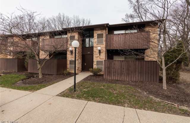 3265 Mayfield Road unit: 29
