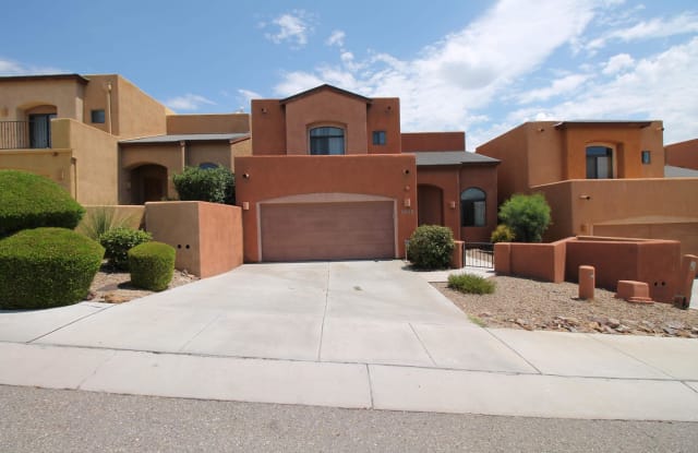 2968 W Stepping Stone Court - 2968 West Stepping Stone Court, Casas Adobes, AZ 85741