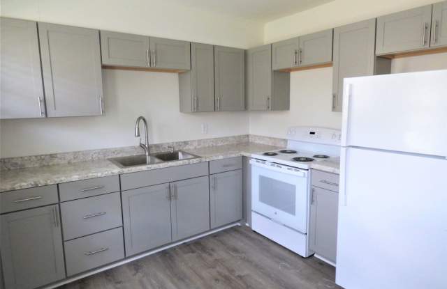 1002 Palmetto St. (Homewood)