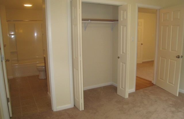12 Ann St