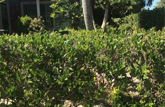 26907 Indian Peak Road