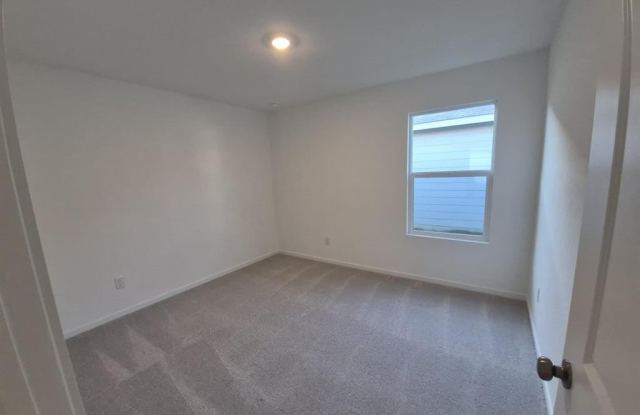 916 Calley Pear Trail