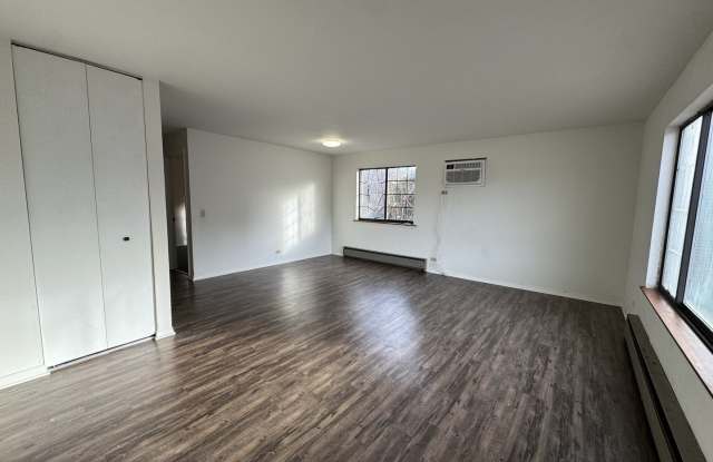 901 E Chicago Avenue unit: 2E