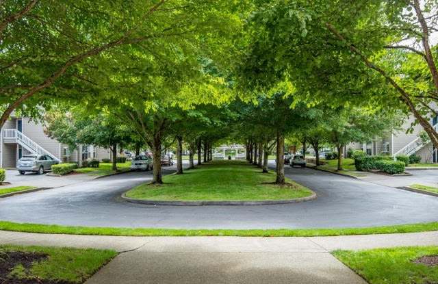 Village at Main Street