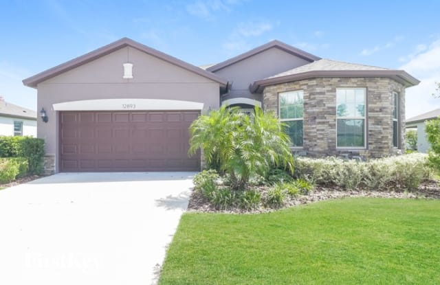 12893 Palapa Loop - 12893 Palapa Loop, Pasco County, FL 34610