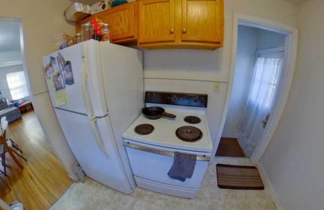 Great backyard! Washer  Dryer included! Available August 1st!