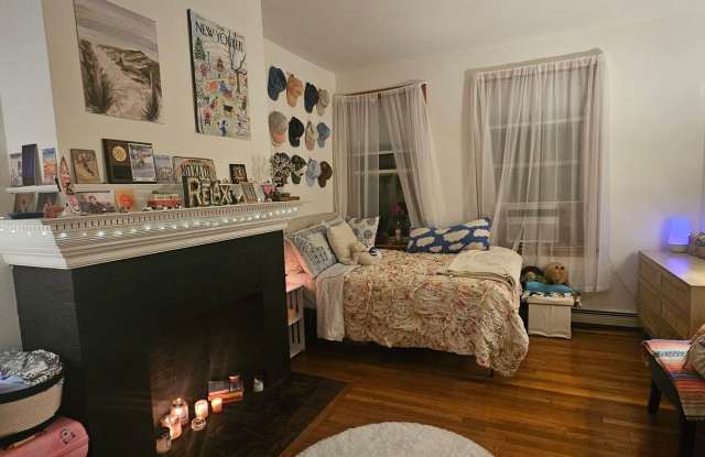 Elegant 5bed/2 Bath Perfect For Boston University Students! Near B and C Lines