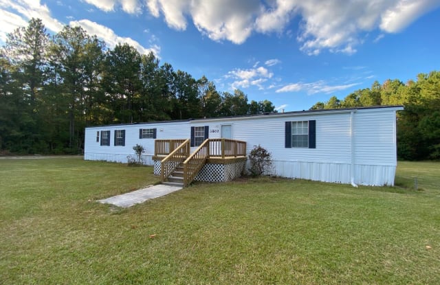 3802 Rooks Rd - 3802 Rooks Road, Pender County, NC 28421