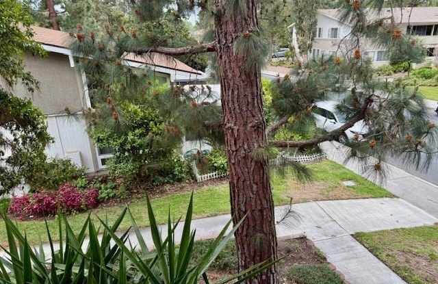 367 Avenida Castilla