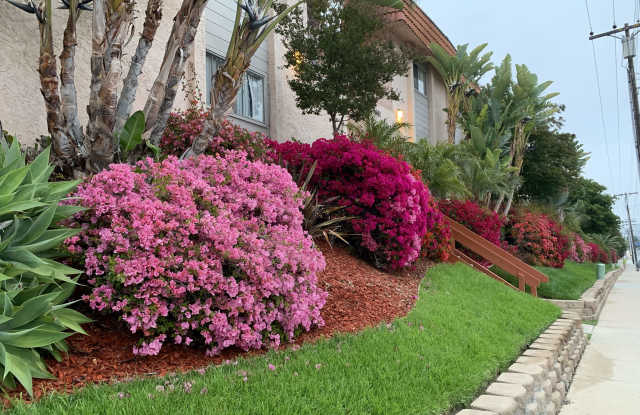 9645 Carlton Hills Blvd