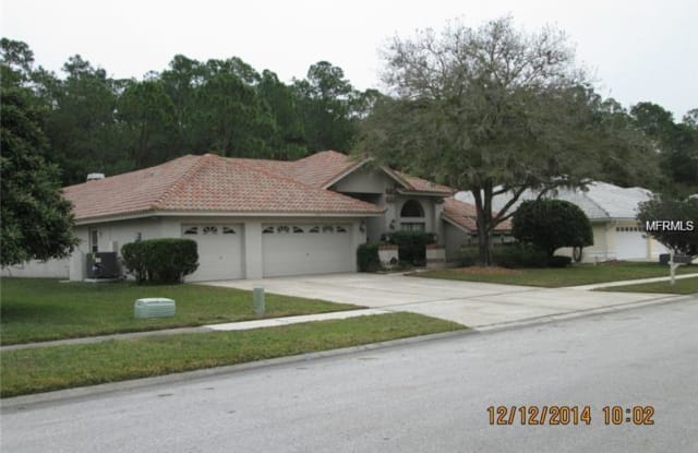 3981 WELLINGTON PARKWAY - 3981 Wellington Parkway, East Lake, FL 34685