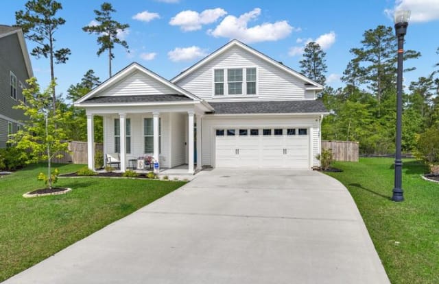 137 Sago Court - 137 Sago Ct, Berkeley County, SC 29486