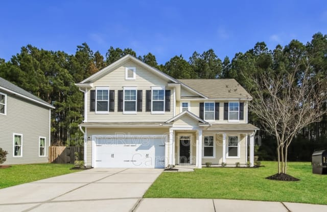 110 Swiftwater Way - 110 Swiftwater Way, Berkeley County, SC 29486