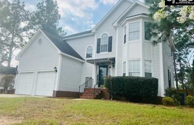 219 Cherry Stone Drive - 219 Cherry Stone Drive, Richland County, SC 29229