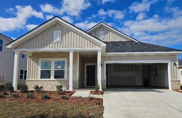 701 Cypress Preserve Circle - 701 Cypress Preserve Circle, Horry County, SC 29568