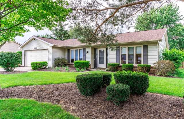 10008 Sawtooth Court