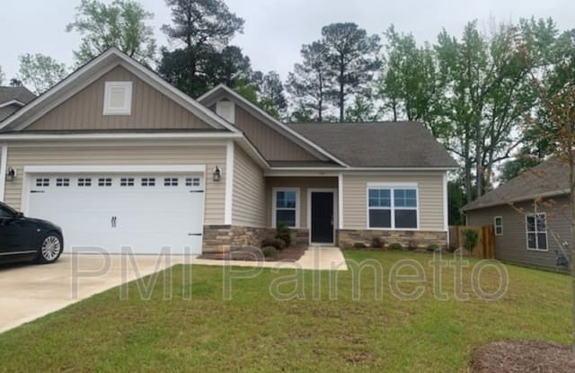 148 Doolittle Dr - 148 Doolittle Drive, Lexington County, SC 29036