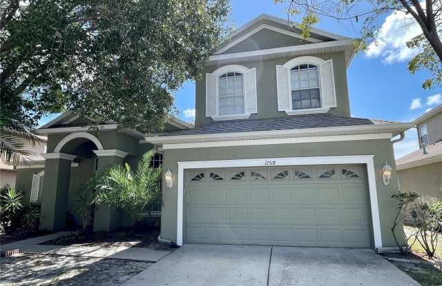 12518 BURGESS HILL DRIVE - 12518 Burgess Hill Drive, Riverview, FL 33579