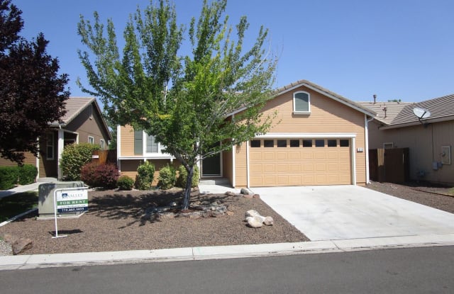 310 Torrey Pines Drive - 310 Torrey Pines Drive, Dayton, NV 89403