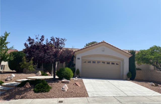 10013 Woodhouse Drive - 10013 Woodhouse Drive, Las Vegas, NV 89134